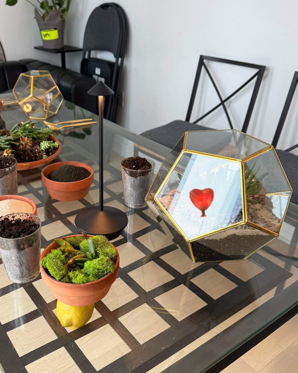 10-inch DIY terrarium kit with geometric glass container, succulents, soil, sand, moss, and tools, modern plant craft kit for home decor and gifting in NYC