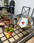 10-inch DIY terrarium kit with geometric glass container, succulents, soil, sand, moss, and tools, modern plant craft kit for home decor and gifting in NYC