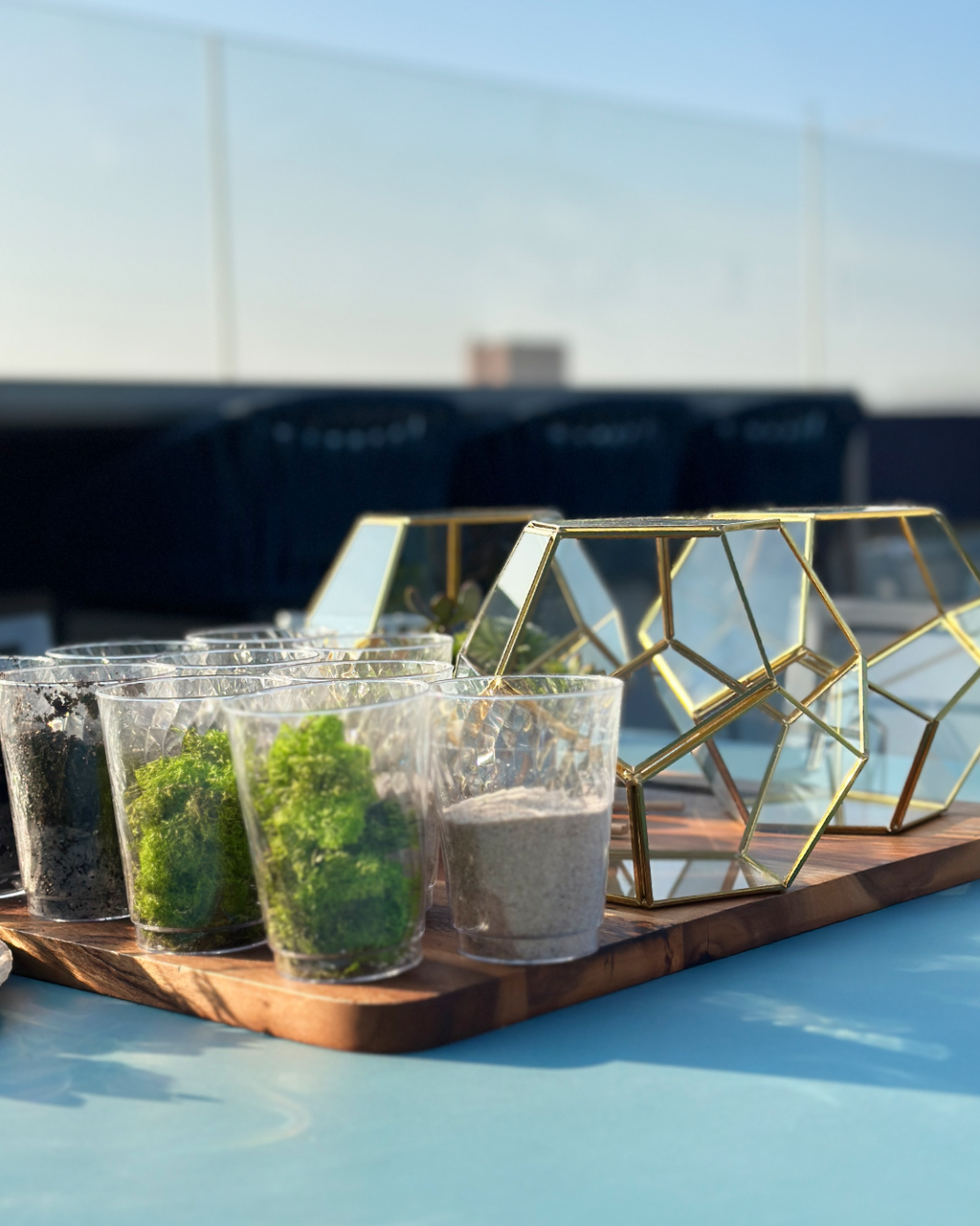 premium terrarium workshop kit with geometric glass container, succulents, moss, soil, and tools, hands-on plant building experience for events, gifting, and NYC workshops
